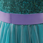 Girls Mermaid Princess Dresses Lace Tutu Costume for Kids